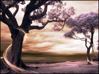 Cogliere l'energia dagli alberi