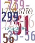 La scienza dei numeri